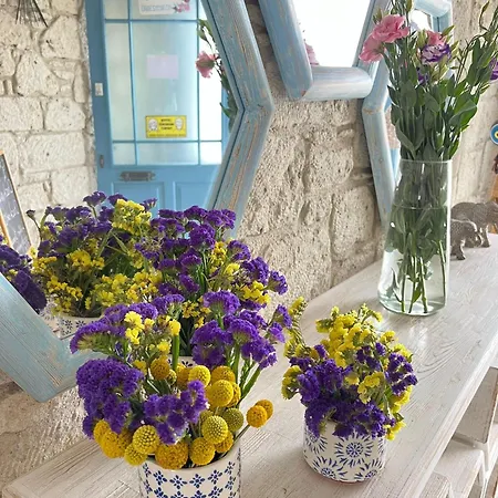 Δωμάτια σε οικογενειακή κατοικία Cayirli Butik